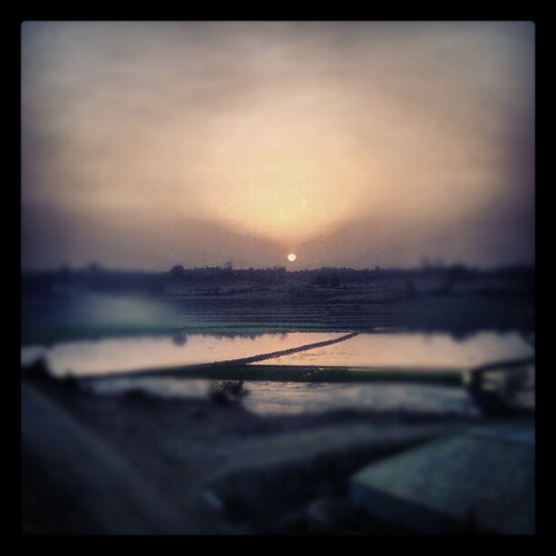 ဒီကျဖင့္ခ်စ္လိုက္ရတာ