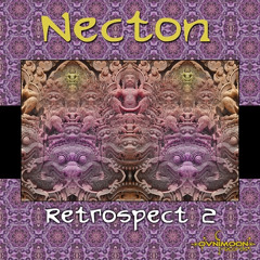 Necton - Igloo