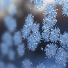 IN BLUE - CHAKRA