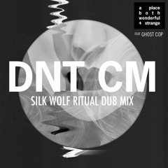 A Place Both - DNT CM (Silk Wolf Ritual Dub Mix)