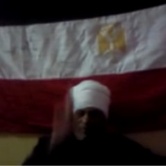 حشــــــــــمت والـثـــــورة المصرية