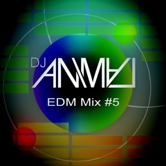 EDM Mix #5