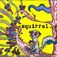 squirrel. - illusions (orig mix)