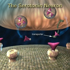 LIMP BIZKIT, DMX, METHOD MAN  "ROLLIN" - (DJ GUSTAVO LIMP BASS KIT MIX)