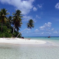 Neneto Nemin(tipo and baxman)