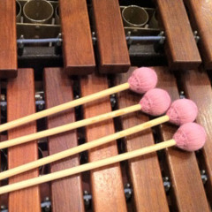 Rosewood Chronicle 2  (Marimba soloist with percussion ensemble)
