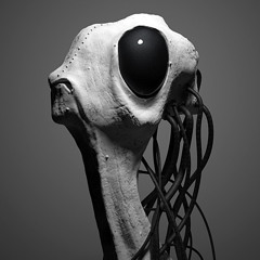 Human Race (live Extract 2014)