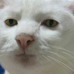 Perché così serio?