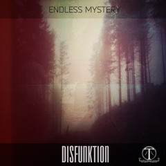 ENDLESS MYSTERY - DISFUNKTION (Original Mix) Out 27/02/2014 on "TERRACOTTA LABEL"