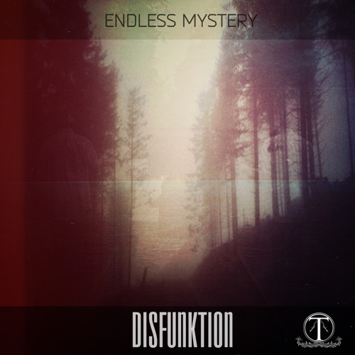 DISFUNKTION EP by ENDLESS MYSTERY out 27/02/2014 on TERRACOTTA LABEL