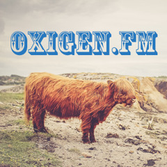 Bless This Space Vol. 2 by Zattirizat