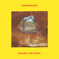 Boomgates - Flood Plains