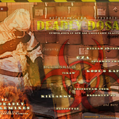 WindWalker - Deadly Dosage - Deadly Remixes CD 2 Sampler - Wuforever.com