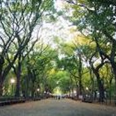 A walk in Central Park
