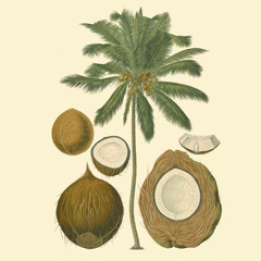 AIRTH Live / ROZKŁAD I