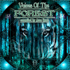 Voices Of The forest (EP)  06 Voodoo - Dreams Of Alucination