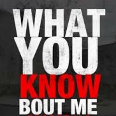 Recklezz&NinaFay- Know Bout Me- Timbaland, JayZ,&Drake REMIX
