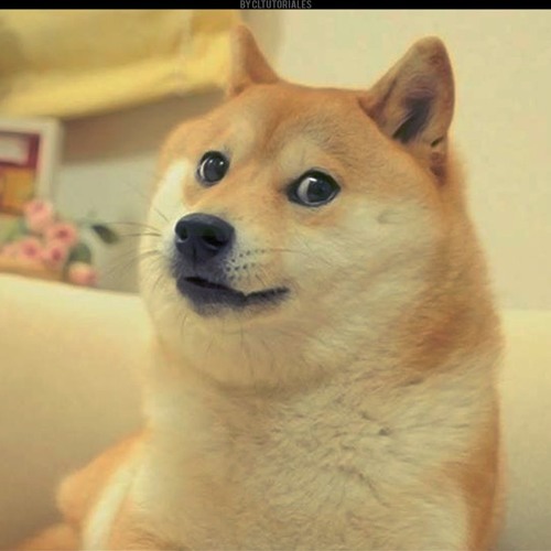 Собака с ушами мем Stream How To Say Doge by Mat Bars Listen online for free on SoundCloud