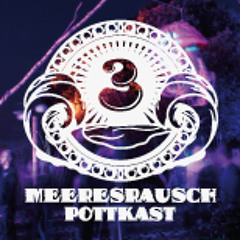 Meerespott #3 - Elbguerilla [Meeronauten]