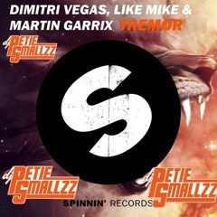 Martin Garrix,Dimitri Vegas & Like Mike - Tremor (PetieSmallzz Remix)