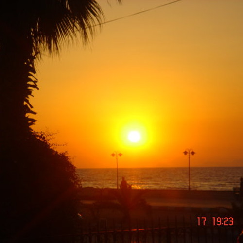 ARsız Bela - YaR  BeNi Sevmez {2013}