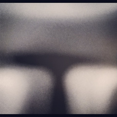 The Bird