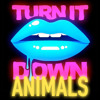 Kaskade vs. Martin Garrix & Victor Niglio - Turn It Down Animals (Kaskades Festival Mash Up)