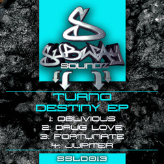 DESTINY V.I.P EP (OUT NOW EXCLUSIVE TO WWW.LOW DOWN DEEP.COM)