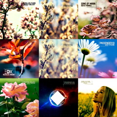 Enormous Tunes 1 (Continuous DJ Mix By William Forest)
