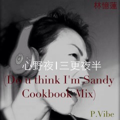 心野夜 l 三更夜半 (Do U Think I'm Sandy Cookbook Mix) l 林憶蓮