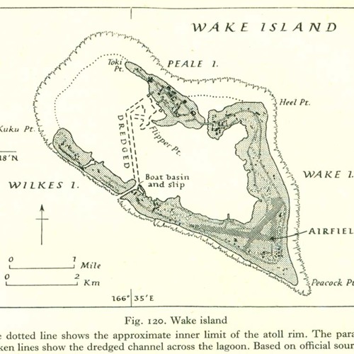 PATRICK BISHOP - WAKE