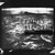 Artwork for Empty Flowers - "Quit (James Plotkin Remix)"