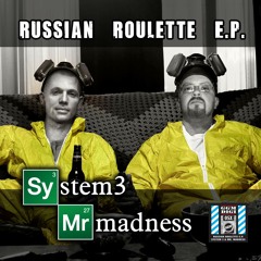 System 3 - Risky Game
