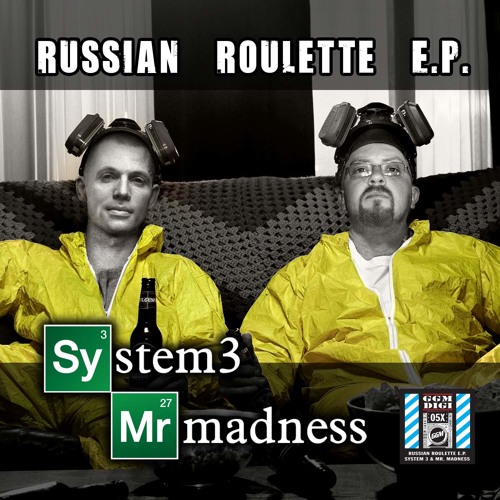 System 3 - Risky Game