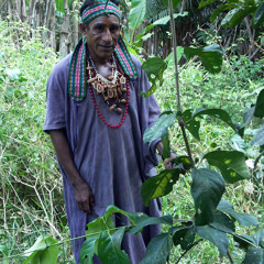 Ayahuasca Icaro by shaman Artidoro