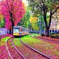 Burung Kutilang (Cover) by El.Piano