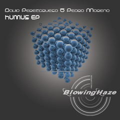 David Perezgrueso & Pedro Moreno - Humus (Original Mix)