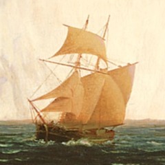 tyrni