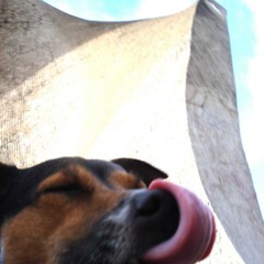 New Vision Of Timeless Classic(s) Needs An Update ("Remix" of Dvorak´s Masterpiece...)