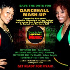 Toya & Cat's Dancehall Mashup Zumba Mix DJ Panama