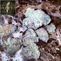 Foreign Gas at Vietnam