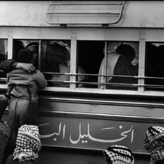 عالروزانا