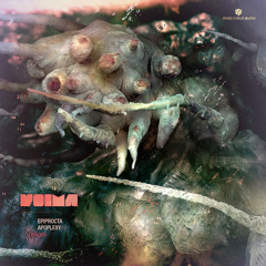 Voima - Epiprocta