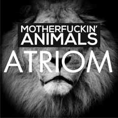 Martin Garrix - Animals (Atriom Remix)