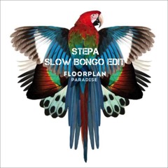 Floorplan - Never Grow Old (StePa (ITA) Slow Bongo Edit) Free Download
