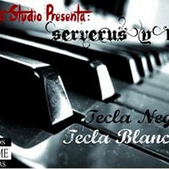 Tecla Negra Sobre Tecla Blanca- 3 Lapiceros Negros (2014)