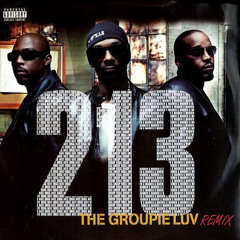 213 - Groupie Luv (Gangsta Remix) (Prod. by Doggy Charles)