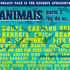[pace is the essence] Podcast #07: Animais (Parte 3 – Os do Ar)