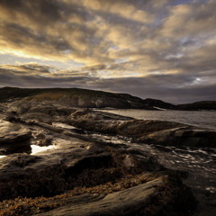 My Life (Original Mix)