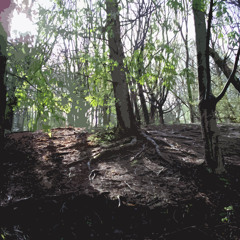 Winter's Gone - demo